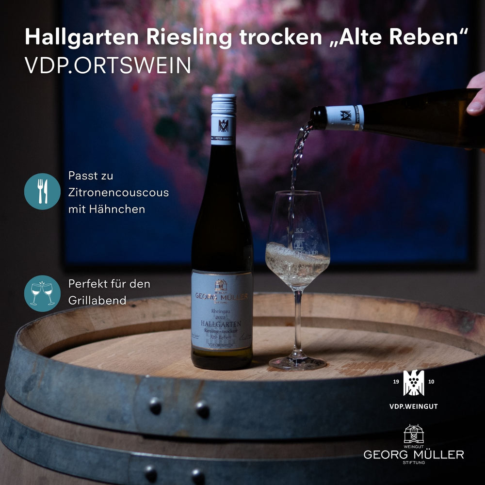 
                  
                    2022 Hallgarten Riesling trocken „Alte Reben“ VDP.ORTSWEIN
                  
                