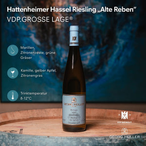 
                  
                    2020 Hattenheimer Hassel Riesling „Alte Reben“ feinherb VDP.GROSSE LAGE
                  
                