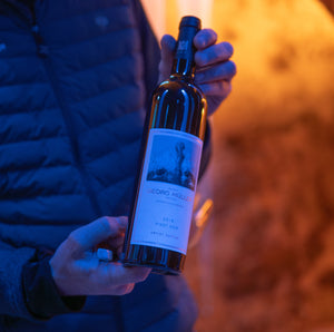 
                  
                    2019 „Artist Edition Armin Baumgarten" Pinot Noir trocken VDP.GUTSWEIN
                  
                